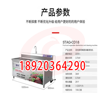 酒店饭店大型洗菜机商用   圣托(Shentop)河鲜果蔬臭氧洗涤机 自动蔬菜水果涡流清洗机 STAQ-CD18