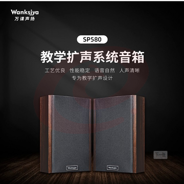 教学扩声系统音箱 SP580
