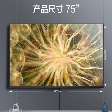 松下（Panasonic）电视LX560 75英寸 丽可彩4K全面屏MEMC HDR10 蓝牙语音 开机无广告智能电视 TH-75LX560C