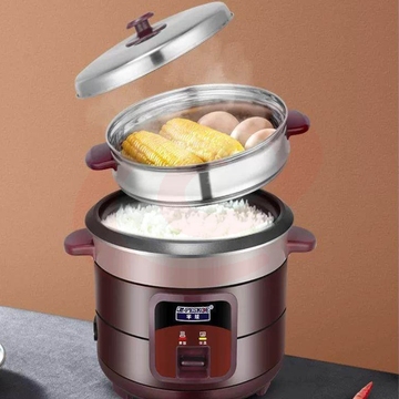 半球  电饭煲 家用多功能 5升电饭锅   CFXB50-5M    货号：LJ 