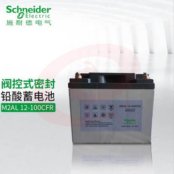 APC UPS电源铅酸蓄电池  施耐德CFR系列 M2AL12-100CFR