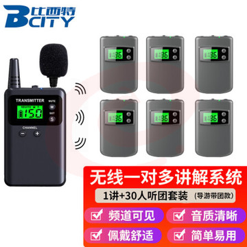 比西特713R无线讲解器导游讲解器一对多旅游博物馆景区讲解无线款耳机译旅游团电子解说 1讲+30人团套装 