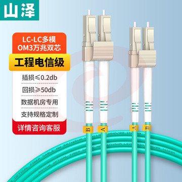 山泽（SAMZHE）G3-LCLC10 电信级万兆光纤跳线 LC-LC多模双芯OM3-300 低烟无卤入户光纤线收发器尾纤 10米