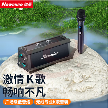 纽曼（Newmine）K221蓝牙音箱广场舞音响户外大音量小型便携式低音炮家用桌面K歌音乐播放器地摊摆摊收款喇叭单麦