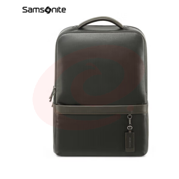 新秀丽（Samsonite）电脑包牛皮男包男士双肩包笔记本包精英商务BC9*09101黑色