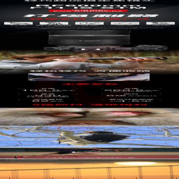 15-1.jpg
