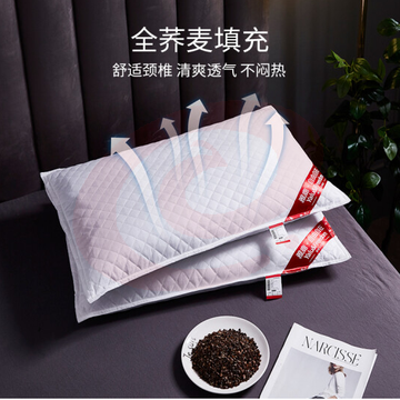 荞麦皮枕头（10个起售）