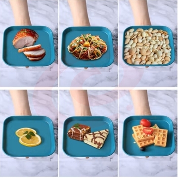 果皮盘子塑料小吃盘子