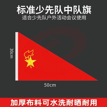 中国少先队旗 少年先锋队队旗 标准款纳米防水 大队旗 大队旗 50*30cm-cpy2615-cpy3587