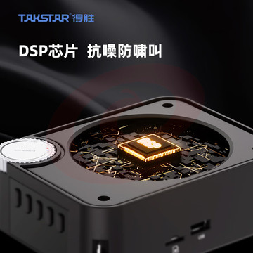 得胜(TAKSTAR)E500W无线扩音器大功率便携式小蜜蜂教学会议培训促销导游喇叭迷你小音箱双手持版
