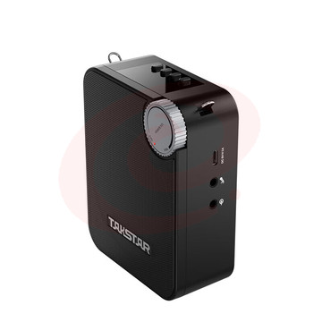 得胜 (TAKSTAR) E500W 无线扩音器 教学培训导游促销会议扩声喊话喇叭大功率小蜜蜂麦克风 (双手持版)