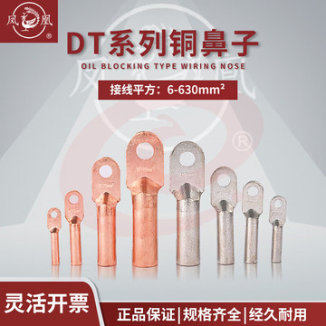凤凰 DT--25平方 接线端子 铜端子铜鼻子