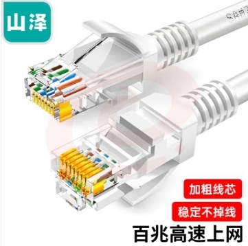 山泽（SAMZHE）ZW-10 超五类网线 CAT5e类高速千兆网线 10米 工程/宽带电脑家用连接跳线 成品网线 贝吉色