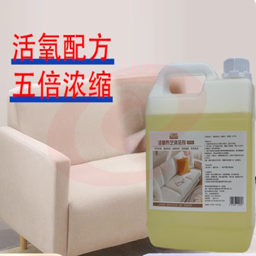 沙发清洗机5L
