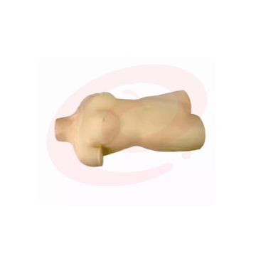 术前无菌操作训练模型